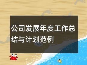 公司發(fā)展年度工作總結(jié)與計(jì)劃范例