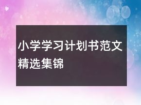 小學(xué)學(xué)習(xí)計(jì)劃書范文精選集錦