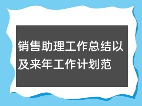 銷售助理工作總結以及來年工作計劃范文