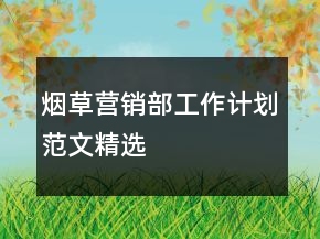 煙草營銷部工作計劃范文精選
