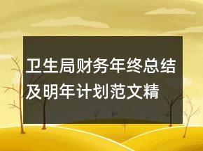 衛(wèi)生局財務(wù)年終總結(jié)及明年計劃范文精選