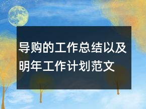 導(dǎo)購的工作總結(jié)以及明年工作計劃范文