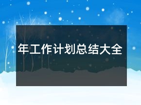 年工作計劃總結大全