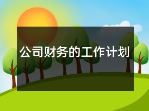 公司財(cái)務(wù)的工作計(jì)劃