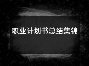 職業(yè)計劃書總結(jié)集錦