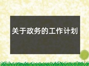 關(guān)于政務(wù)的工作計(jì)劃
