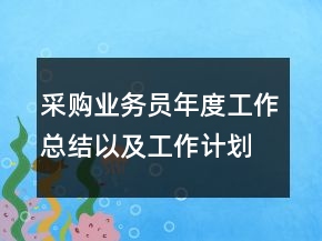 采購(gòu)業(yè)務(wù)員年度工作總結(jié)以及工作計(jì)劃范文