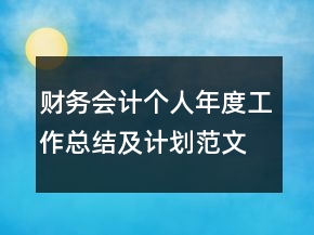 財(cái)務(wù)會計(jì)個人年度工作總結(jié)及計(jì)劃范文精選