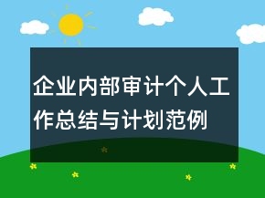 企業(yè)內(nèi)部審計(jì)個(gè)人工作總結(jié)與計(jì)劃范例