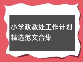 小學(xué)政教處工作計(jì)劃精選范文合集