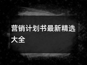 營銷計劃書最新精選大全