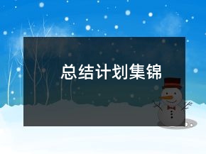 總結(jié)計劃集錦