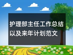護(hù)理部主任工作總結(jié)以及來年計(jì)劃范文