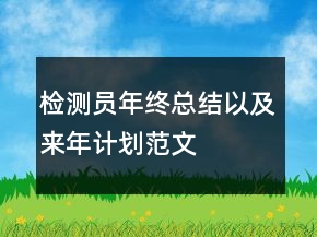 檢測(cè)員年終總結(jié)以及來年計(jì)劃范文
