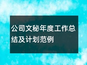 公司文秘年度工作總結及計劃范例