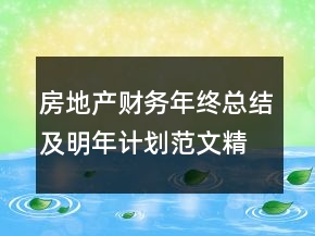 房地產(chǎn)財務(wù)年終總結(jié)及明年計劃范文精選