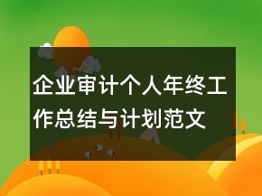 企業(yè)審計個人年終工作總結(jié)與計劃范文精選