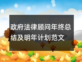 政府法律顧問年終總結(jié)及明年計劃范文