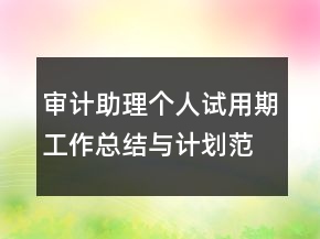 審計助理個人試用期工作總結與計劃范例