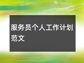 服務(wù)員個(gè)人工作計(jì)劃范文