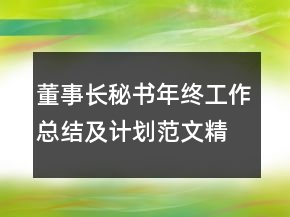 董事長(zhǎng)秘書年終工作總結(jié)及計(jì)劃范文精選
