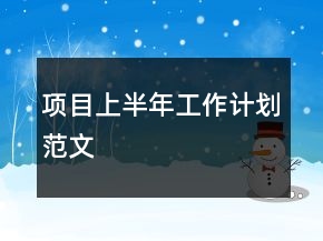 項目上半年工作計劃范文
