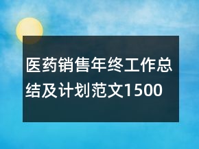 醫(yī)藥銷售年終工作總結(jié)及計劃范文1500字