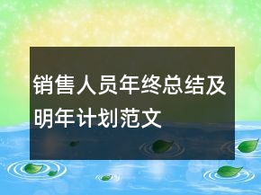 銷售人員年終總結(jié)及明年計劃范文