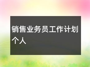 銷售業(yè)務(wù)員工作計劃個人