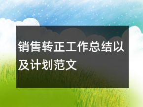 銷售轉正工作總結以及計劃范文
