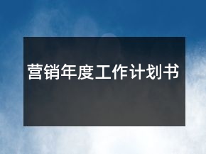 營銷年度工作計劃書