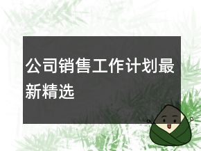 公司銷售工作計(jì)劃最新精選