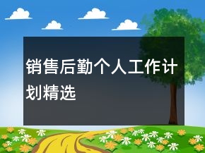 銷售后勤個人工作計劃精選