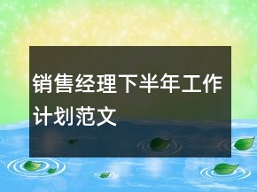 銷售經(jīng)理下半年工作計(jì)劃范文