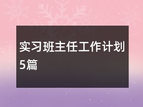 實(shí)習(xí)班主任工作計(jì)劃5篇