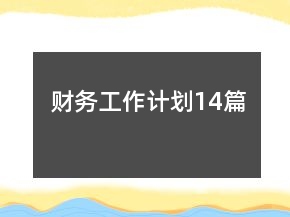 財(cái)務(wù)工作計(jì)劃14篇