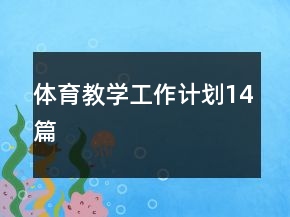 體育教學(xué)工作計劃14篇