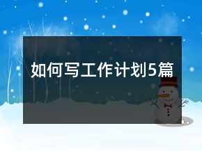 如何寫工作計劃5篇