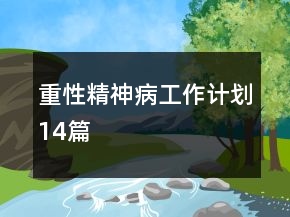 重性精神病工作計(jì)劃14篇