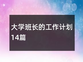 大學班長的工作計劃14篇