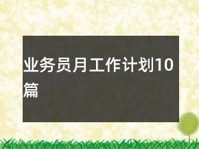 業(yè)務(wù)員月工作計劃10篇