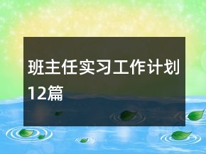 班主任實(shí)習(xí)工作計(jì)劃12篇