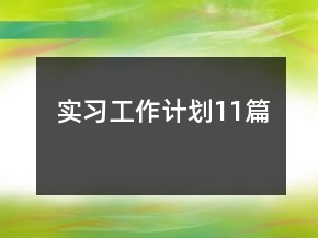 實習(xí)工作計劃11篇