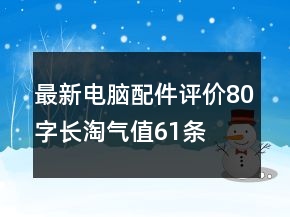 最新電腦配件評價(jià)80字長淘氣值61條