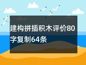 建構(gòu)、拼插積木評(píng)價(jià)80字復(fù)制64條