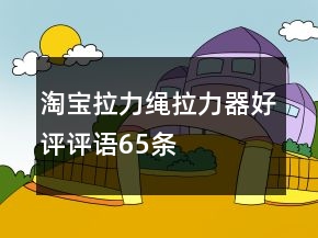 淘寶拉力繩、拉力器好評(píng)評(píng)語(yǔ)65條