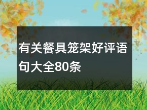 有關(guān)餐具籠、架好評語句大全80條