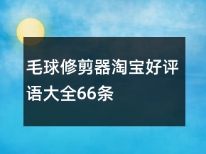 毛球修剪器淘寶好評語大全66條