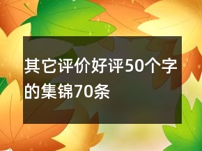 其它評價好評50個字的集錦70條