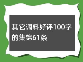 其它調(diào)料好評(píng)100字的集錦61條